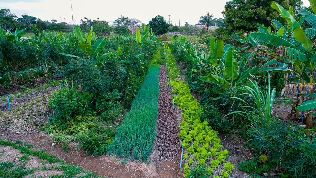 PREFEITURA DE PORTO VELHO VAI CADASTRAR AGRICULTORES AGROECOLÓGICOS - News Rondônia