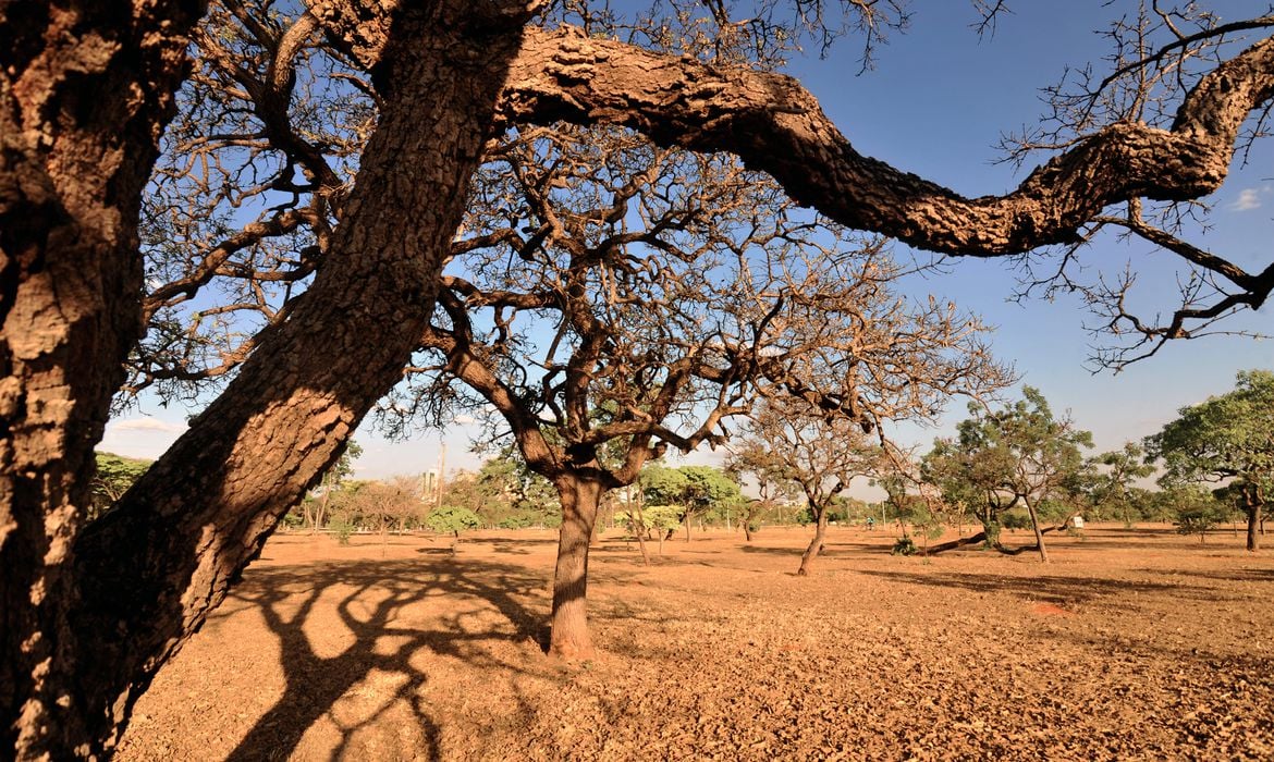 Estudo da ONU aponta influência humana em eventos climáticos extremos - News Rondônia