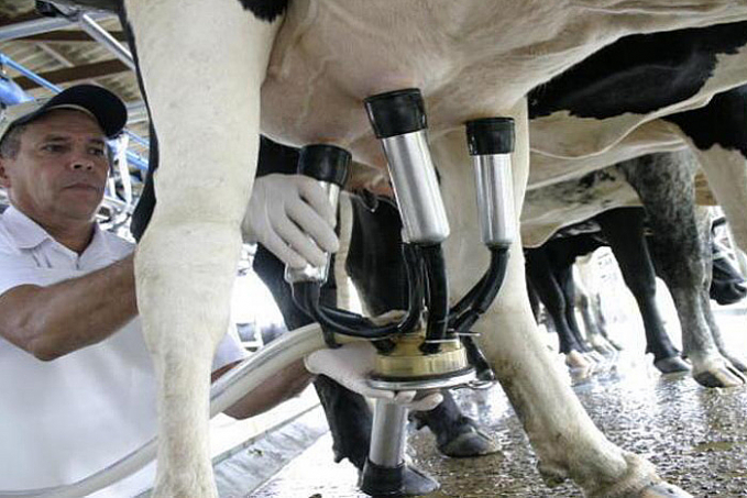 Análise da Conab revela que preço do leite segue em patamares elevados ao produtor - News Rondônia