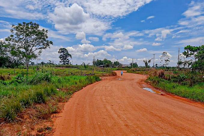 DER elabora plano para asfaltar trecho conhecido por Curva do Jacaré, entre Alvorada dOeste e Urupá na RO-473 - News Rondônia