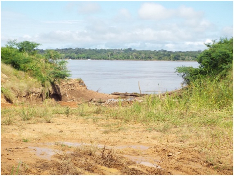 HISTORIA - DER COMEÇOU LIMPEZA DA MADEIRA MAMORÉ - News Rondônia
