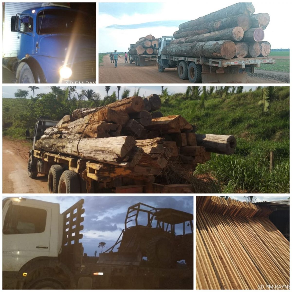 MADEIREIROS CLANDESTINOS SÃO APRESENTADOS EM JUÍZO, POR TRANSPORTE IRREGULAR DE MADEIRA - News Rondônia