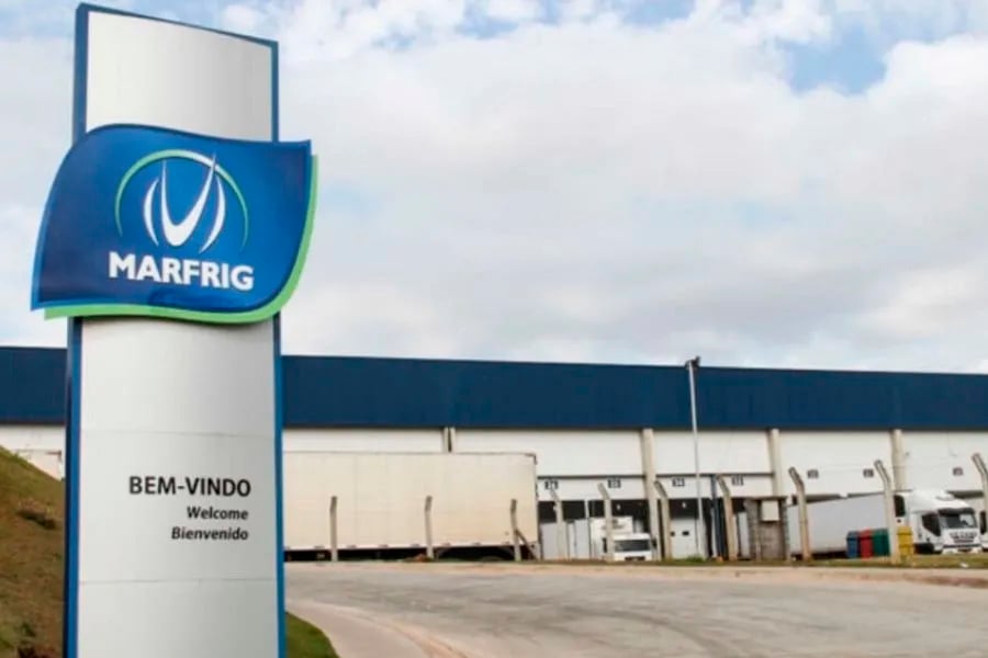 Marfrig faz parceria com Unesp para pesquisa sobre bem-estar animal - News Rondônia