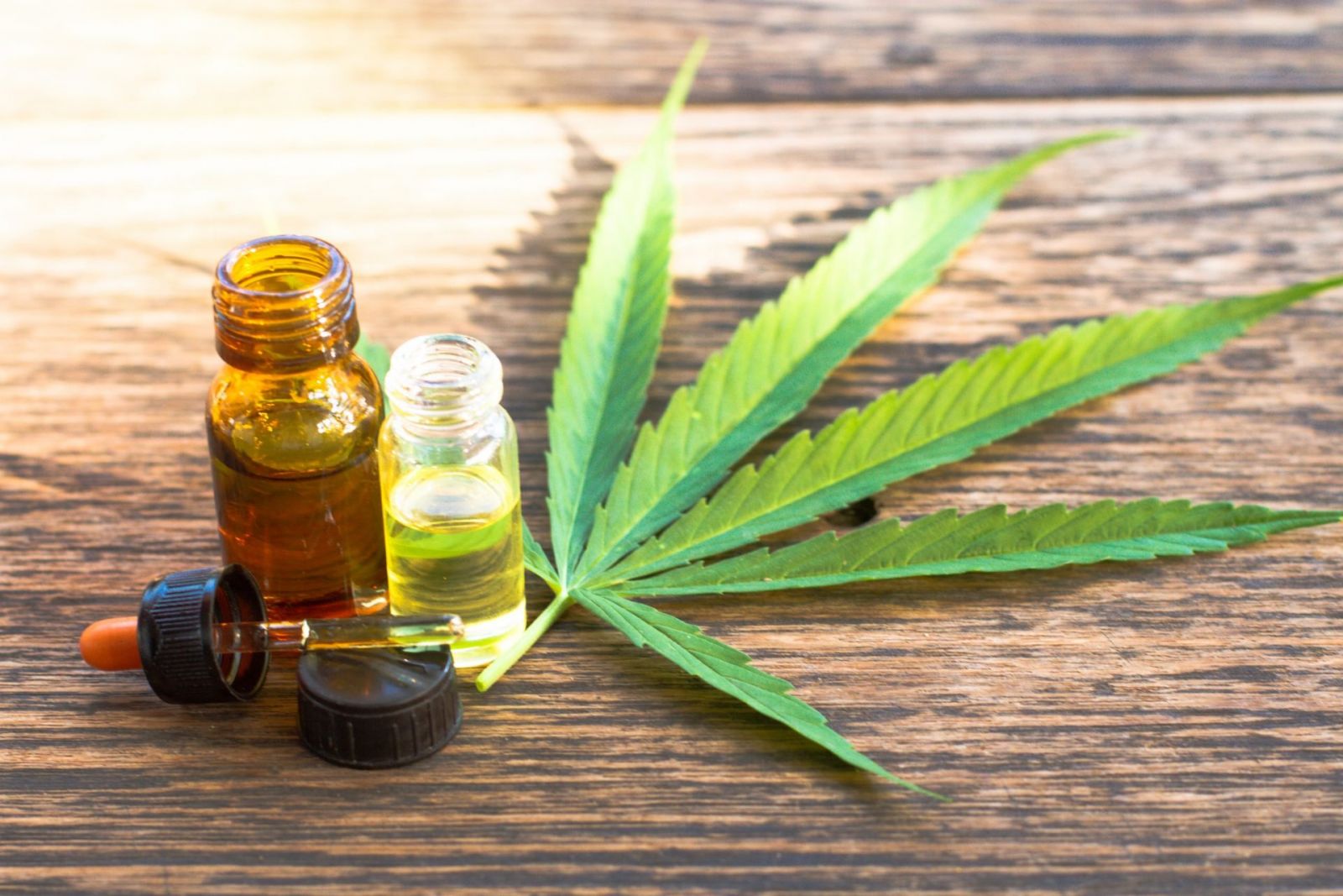Apenas 0,003% dos médicos brasileiros prescrevem Cannabis - News Rondônia