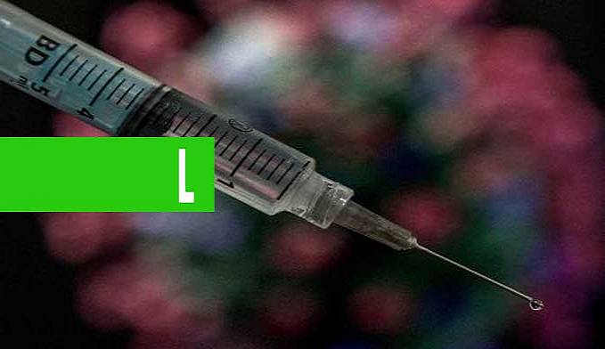Diretor-geral da OMS afirma que 6 vacinas estão em fase avançada de testes - News Rondônia