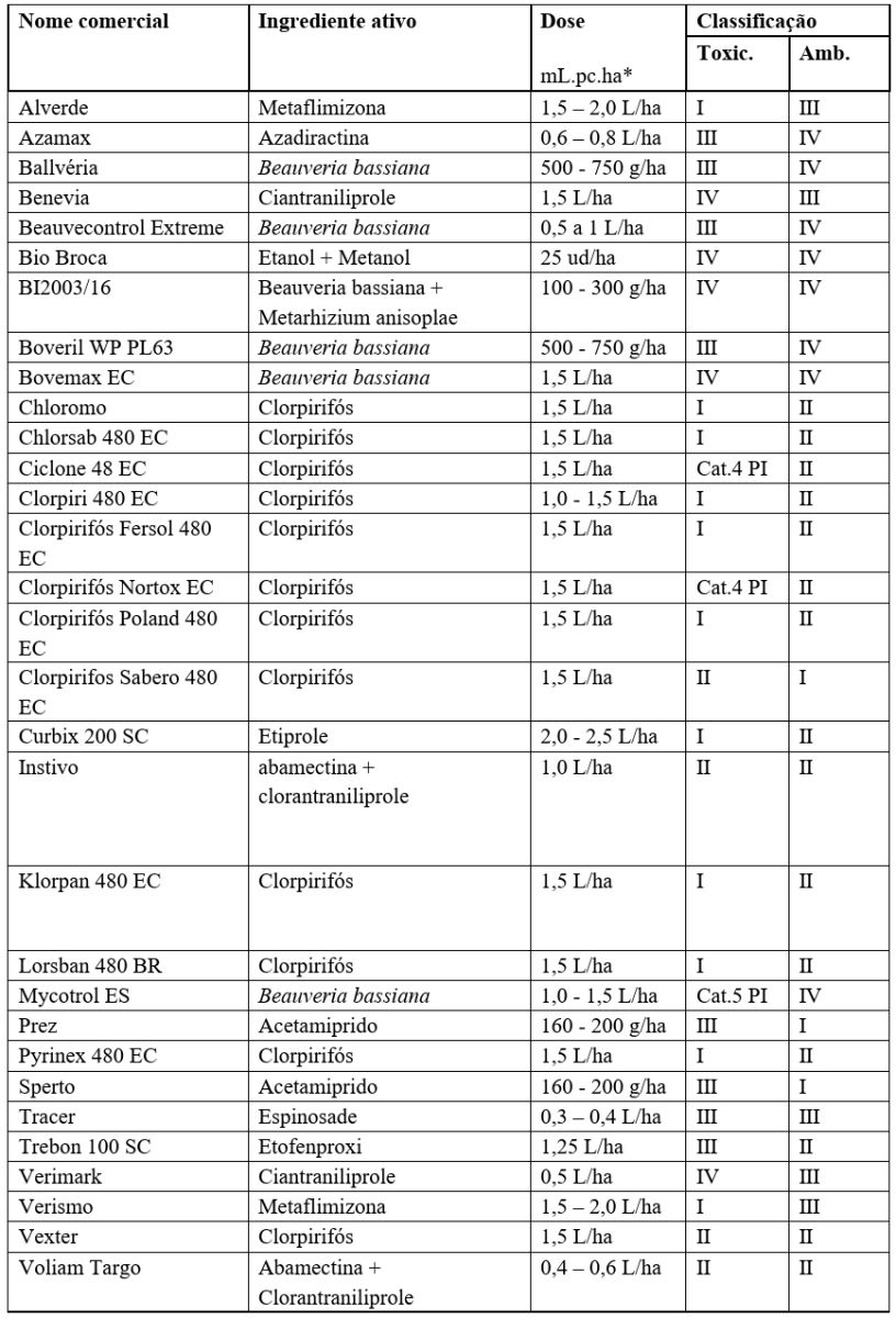 ALTERNATIVAS PARA O CONTROLE DA BROCA-DO-CAFÉ - News Rondônia