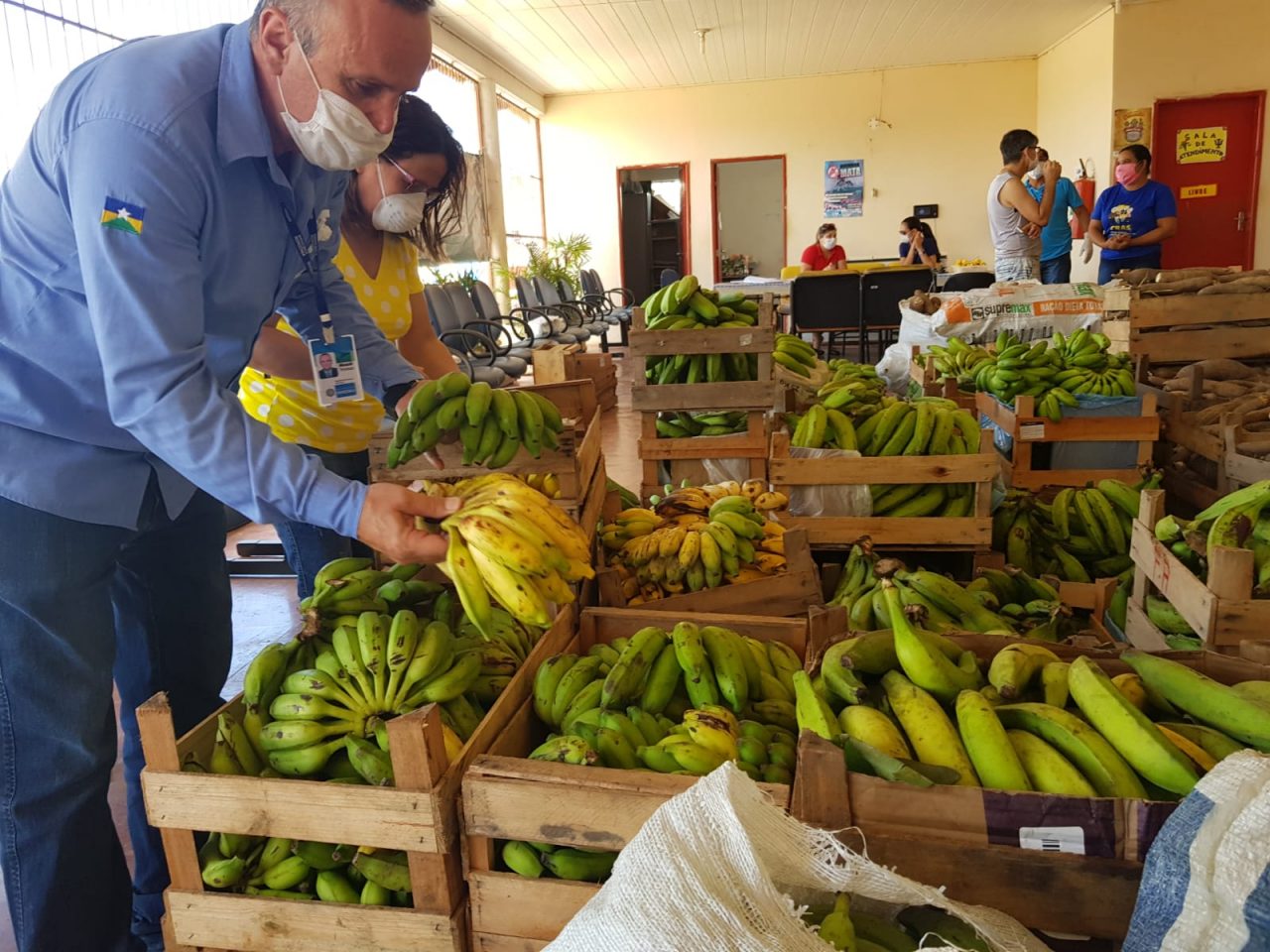 EXECUÇÃO DO PAA EM PORTO VELHO CONTINUA E BENEFICIA MAIS DE 800 FAMÍLIAS COM AQUISIÇÃO DE PRODUTOS - News Rondônia