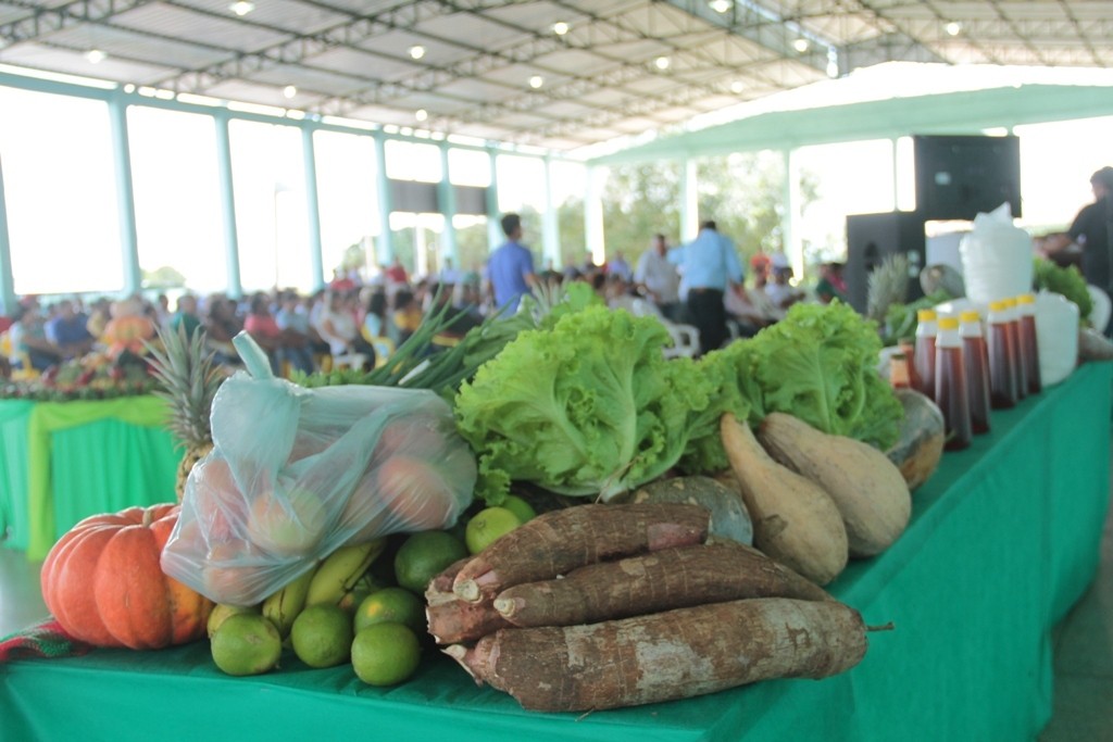 PAA FEDERAL - Mais de mil produtores da agricultura familiar de Rondônia atenderão o PAA Federal na aquisição de alimentos - News Rondônia
