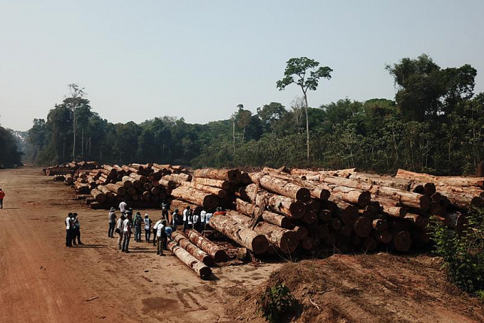 Período de restrição da extração de madeira dos projetos de manejo sustentável vai de janeiro até final de março de 2022 - News Rondônia