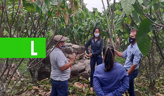 IG CACAU - Cacauicultura de Rondônia avança no processo para ter Indicação Geográfica - News Rondônia