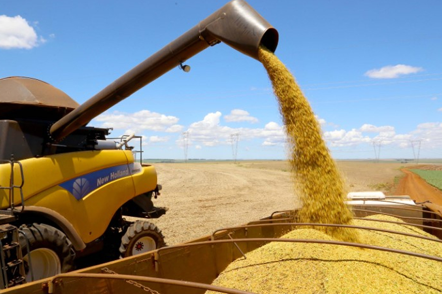 Conab aponta que soja e trigo garantem aumento na produção nacional de grãos - News Rondônia