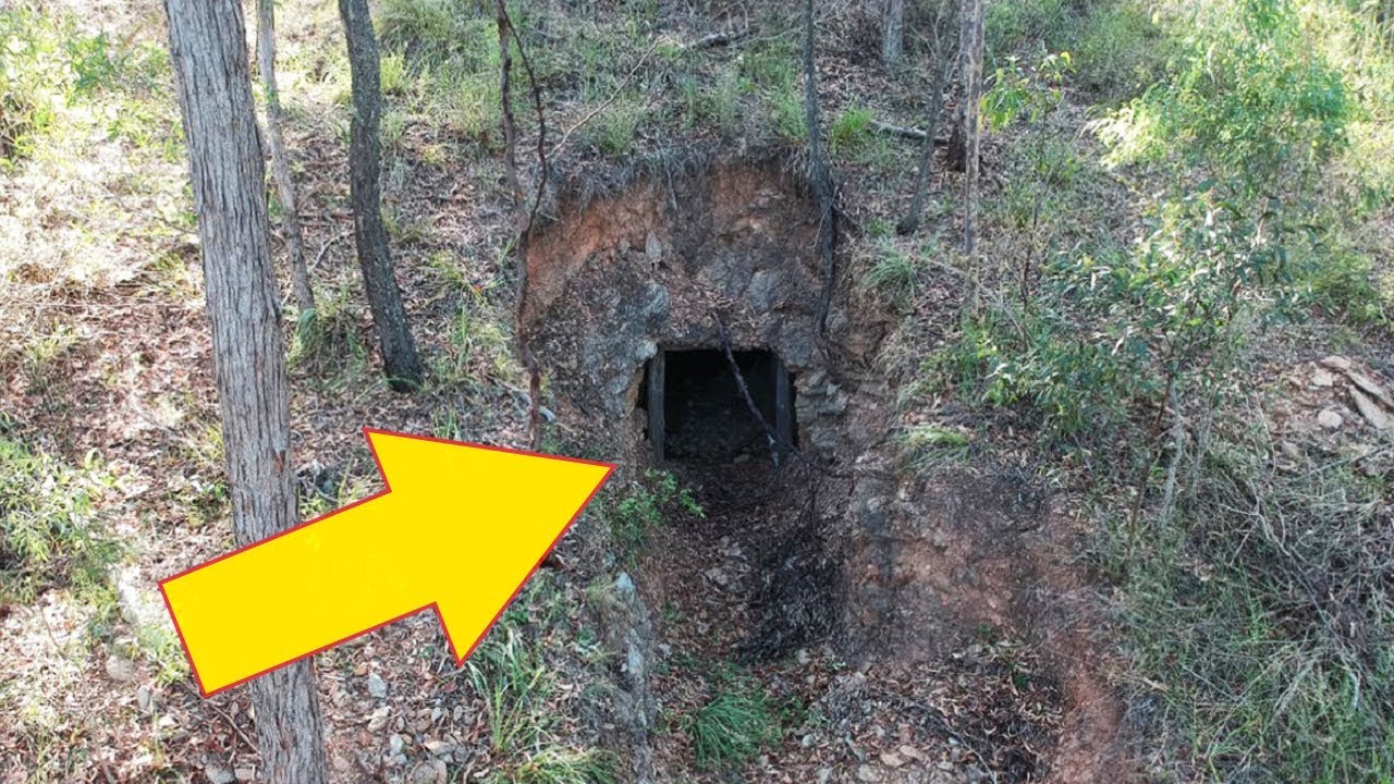 Homem entra em choque após encontrar algo misterioso em sua propriedade - News Rondônia