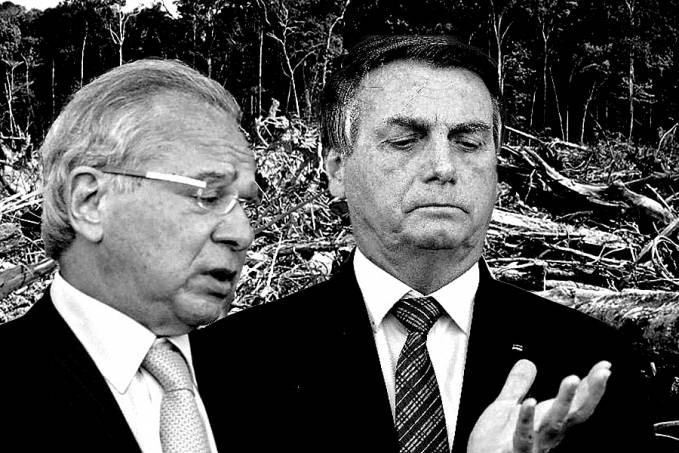 'O governo pretende acabar com a exploração ilegal da Floresta Amazônica', afirma Paulo Guedes da economia - News Rondônia