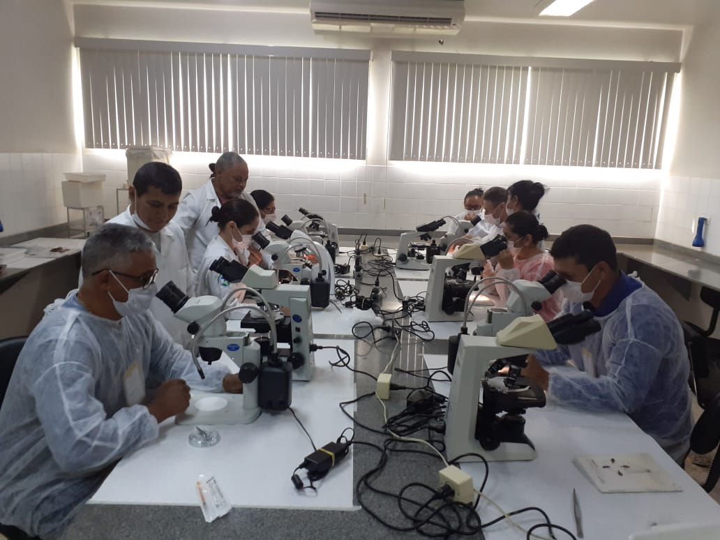 LACEN CAPACITA TÉCNICOS PARA IDENTIFICAÇÃO E MANUSEIO DE VETORES DA DENGUE, MALÁRIA E DOENÇA DE CHAGAS - News Rondônia