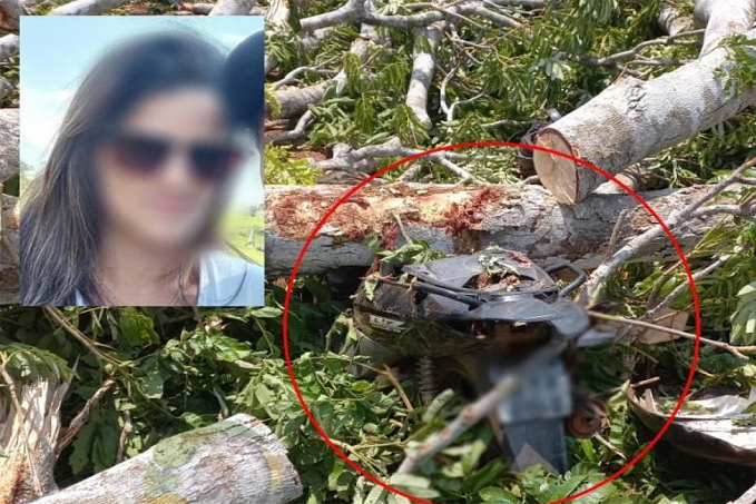 Mulher morre atingida por tronco de árvore durante derrubada, na zona rural em Alta Floresta - News Rondônia