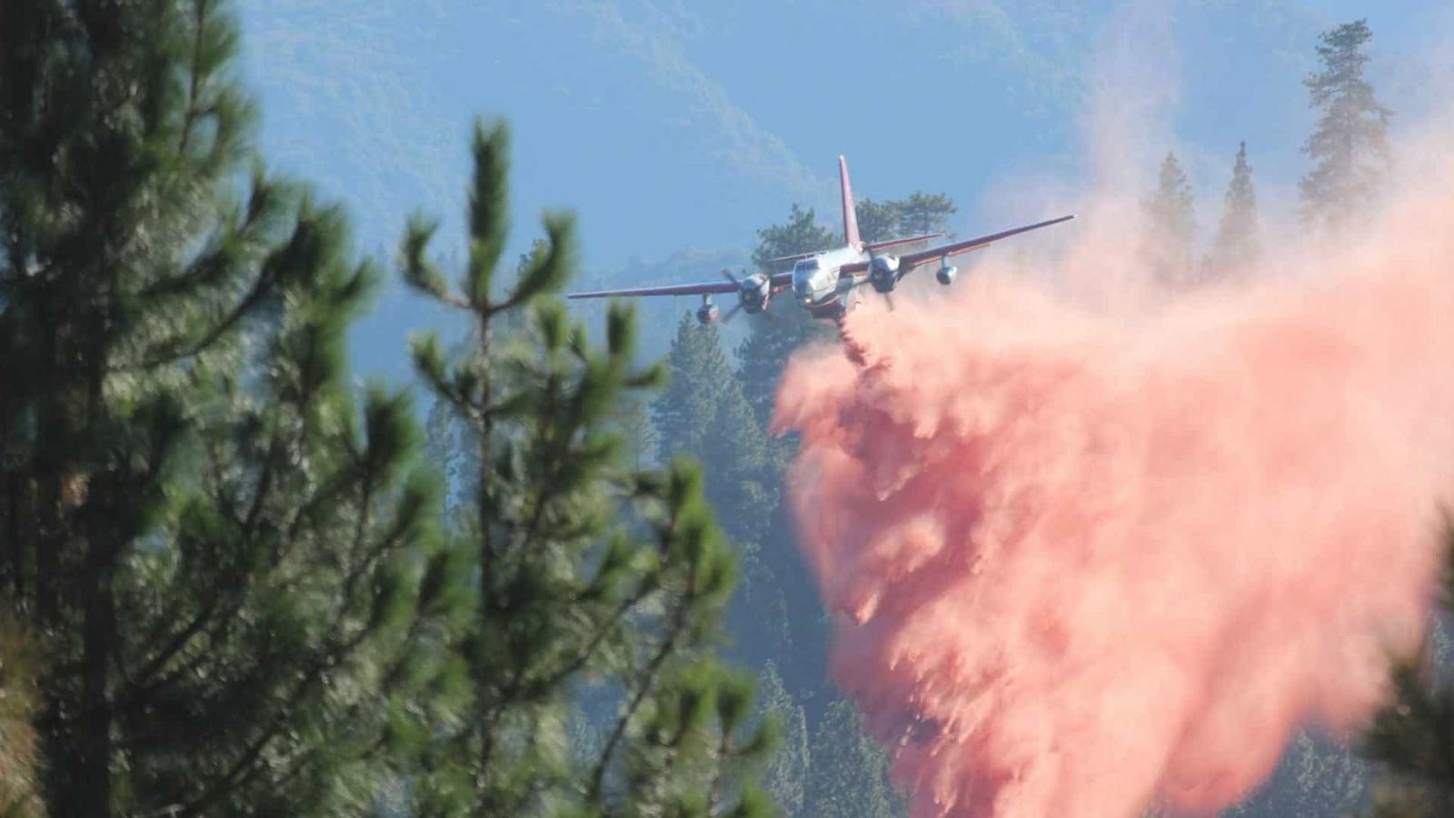 AUSTRÁLIA: TRÊS PESSOAS MORREM EM QUEDA DE AVIÃO QUE COMBATIA INCÊNDIO - News Rondônia