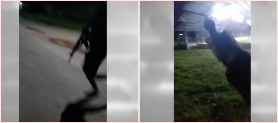 Em Rio Branco CV invade 'Cidade do Povo' dispara contra 7 pessoas e mata motoboy com tiros na cabeça - News Rondônia