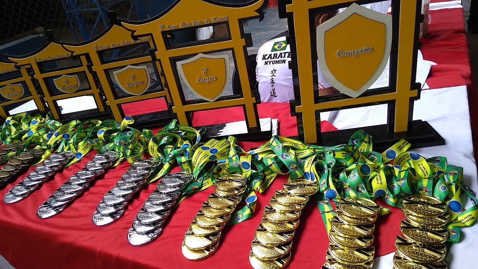 STILLUS VICE CAMPEÃ DA COPA DE KARATE - News Rondônia