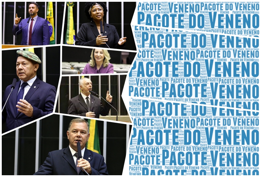 Veja como votou a bancada de Rondônia no PL conhecido como 'Pacote do Veneno' - News Rondônia