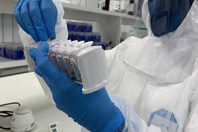 Cientistas detectam casos de brasileiros infectados simultaneamente por linhagens diferentes do coronavírus - News Rondônia