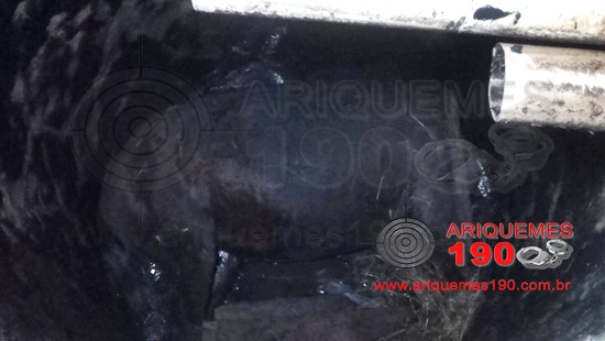 ÉGUA MORRE AFOGADA EM FOSSA NA CIDADE DE ARIQUEMES - News Rondônia
