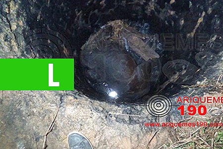 ÉGUA MORRE AFOGADA EM FOSSA NA CIDADE DE ARIQUEMES - News Rondônia