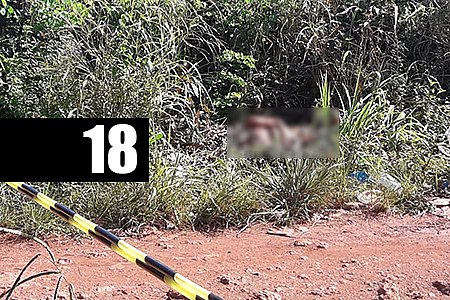 CADÁVER DE MULHER ESFAQUEADA E DEGOLADA É ENCONTRADO POR POPULARES NO JARDIM SANTANA - News Rondônia