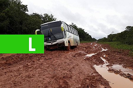 IMAGENS QUE FALAM POR SI: BR-319 - News Rondônia