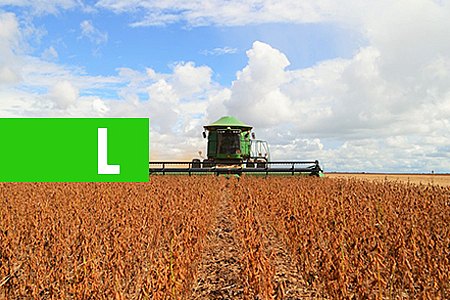 IDARON CADASTRA PRODUTORES DE SOJA DE RONDÔNIA PARA GARANTIR PLANTIO SAUDÁVEL - News Rondônia