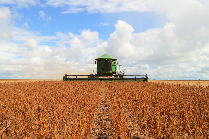 IDARON CADASTRA PRODUTORES DE SOJA DE RONDÔNIA PARA GARANTIR PLANTIO SAUDÁVEL - News Rondônia