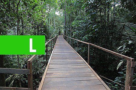 PREFEITURA OFERECE TRILHA PARA PAIS E FILHOS NO PARQUE NATURAL - News Rondônia
