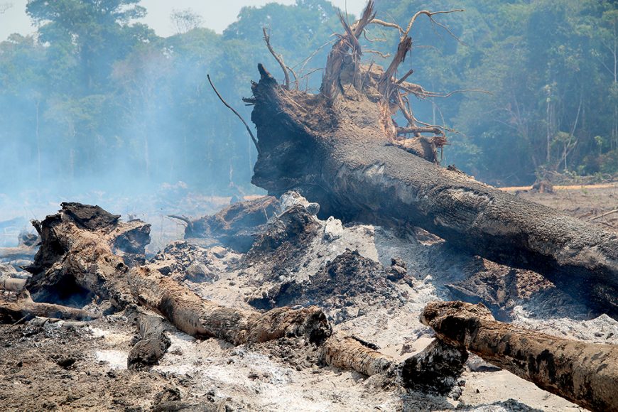 SECRETARIA DO DESENVOLVIMENTO AMBIENTAL TRABALHA CONSCIENTIZAÇÃO E ORIENTAÇÃO SOBRE O USO DO FOGO ILEGAL EM RONDÔNIA - News Rondônia