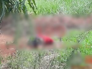 URGENTE: Corpo de Homem sem braço é localizado em terreno baldio - News Rondônia
