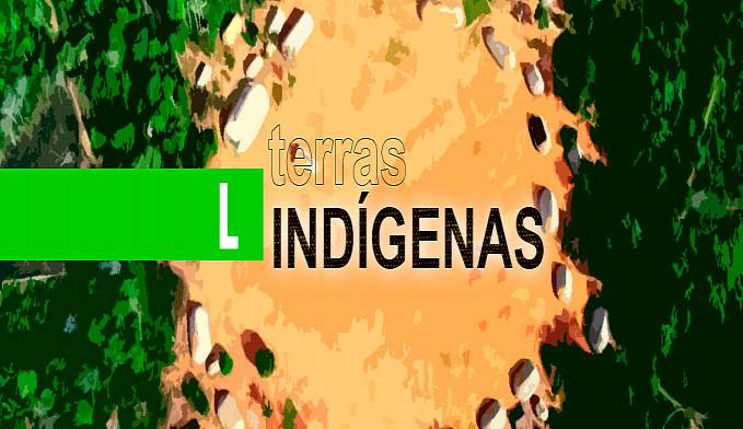 O QUE O BRASIL GANHA COM A MINERAÇÃO EM TERRAS INDÍGENAS?  POR MARA PARAGUASSU - News Rondônia
