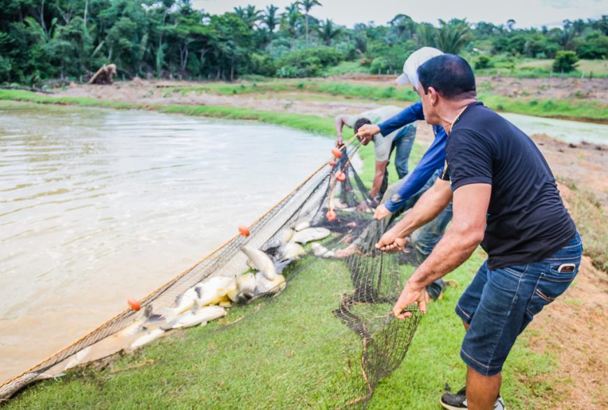 PIRACEMA - SEDAM ALERTA SOBRE FIM DO PERÍODO DO DEFESO - News Rondônia