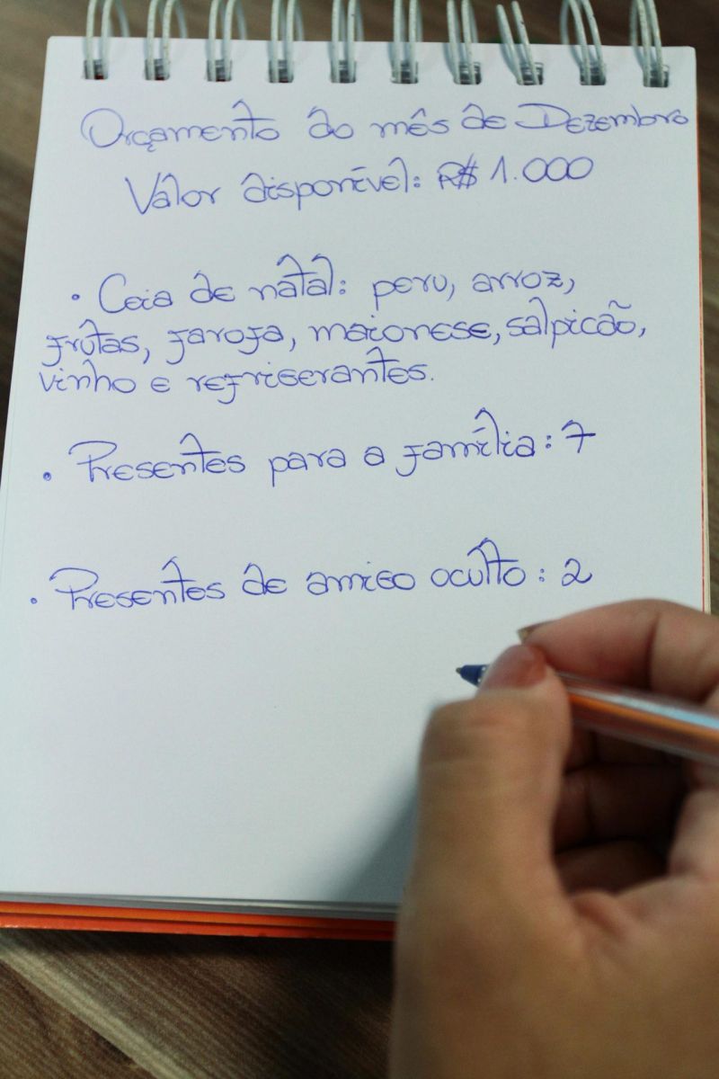 GASTOS SOB CONTROLE: VEJA DICAS DE ANALISTA DE FINANÇAS PARA ECONOMIZAR NAS COMPRAS DE FIM DE ANO - News Rondônia
