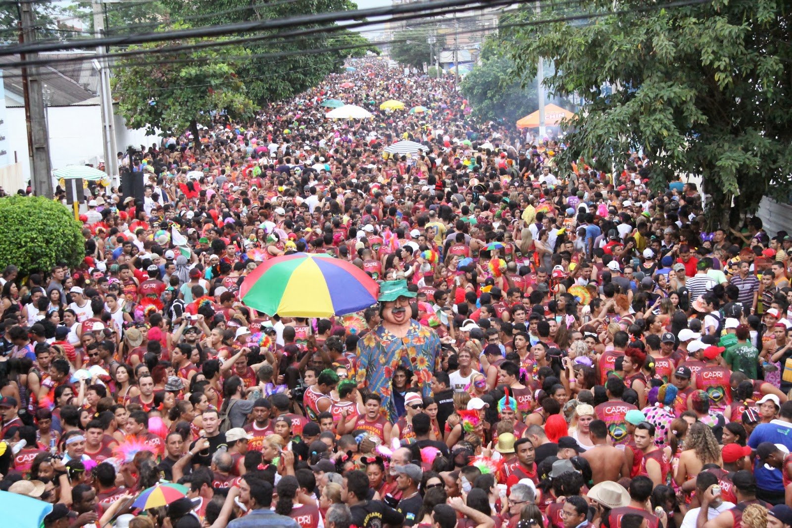 SURGIMENTOS DA BANDA DO SÓ VAI QUEM QUER  IV - POR SILVIO M SANTOS - News Rondônia