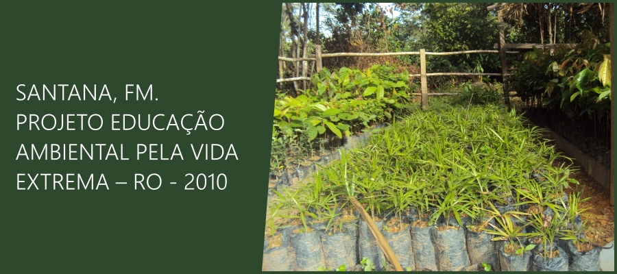 Dia Mundial do Meio Ambiente - Por Marquelino Santana - News Rondônia