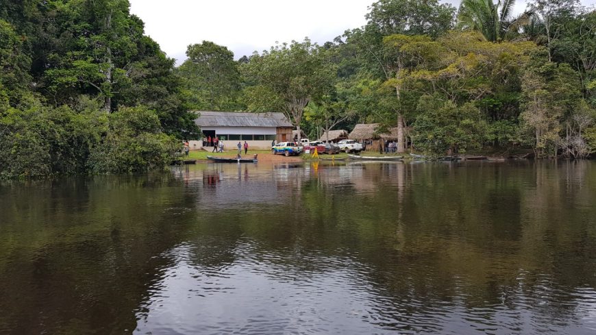 UNIDADES DE CONSERVAÇÃO EM RONDÔNIA EVITAM TURISTAS, AMPARAM IDOSOS E REDOBRAM ESFORÇOS CONTRA ROUBO DE MADEIRA - News Rondônia