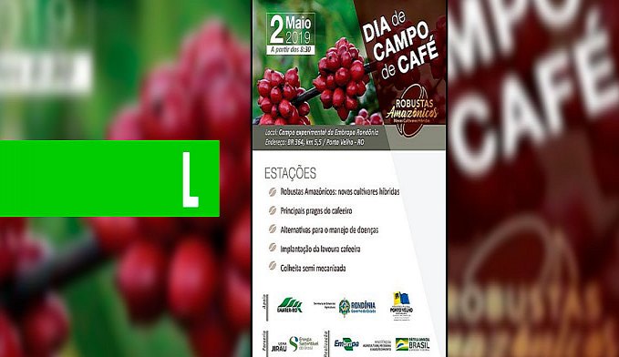 EMBRAPA APRESENTA NOVAS CULTIVARES HÍBRIDAS DE CAFÉ EM DIA DE CAMPO EM PORTO VELHO - News Rondônia