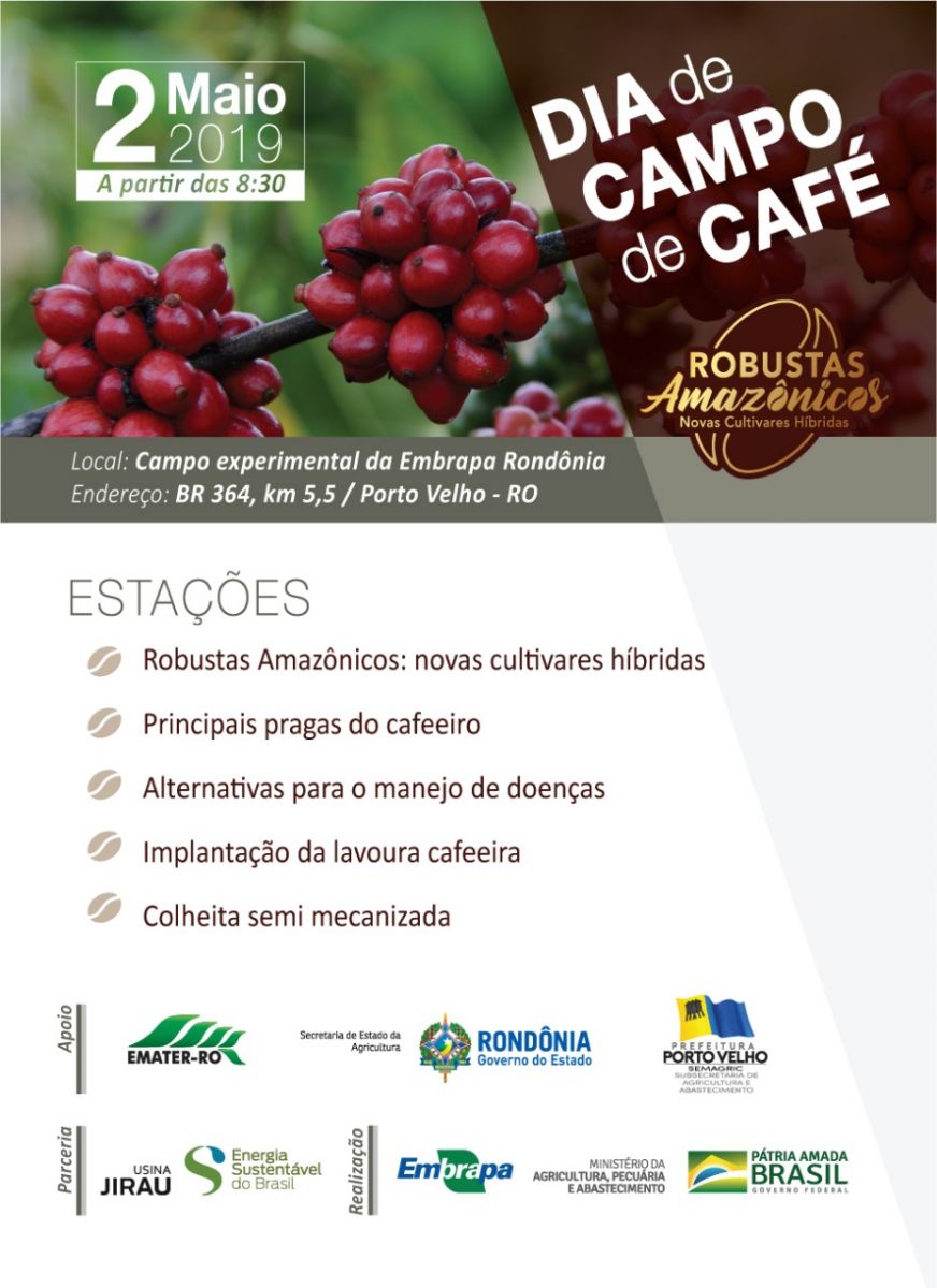 EMBRAPA APRESENTA NOVAS CULTIVARES HÍBRIDAS DE CAFÉ EM DIA DE CAMPO EM PORTO VELHO - News Rondônia