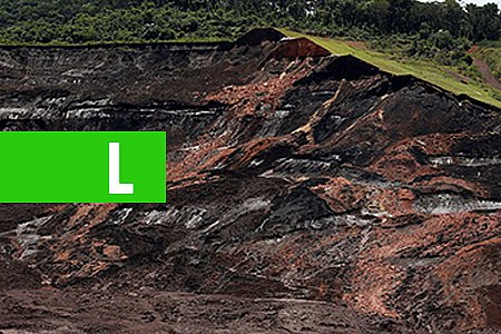 NÚMERO DE MORTES CONFIRMADAS EM BRUMADINHO SOBE PARA 115 - News Rondônia