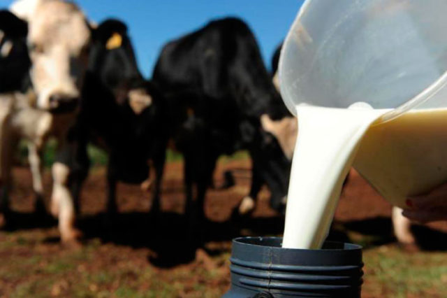 LEITE: PREÇO PODE CAIR EM MAIO E TIRAR MUITOS PRODUTORES DA ATIVIDADE - News Rondônia