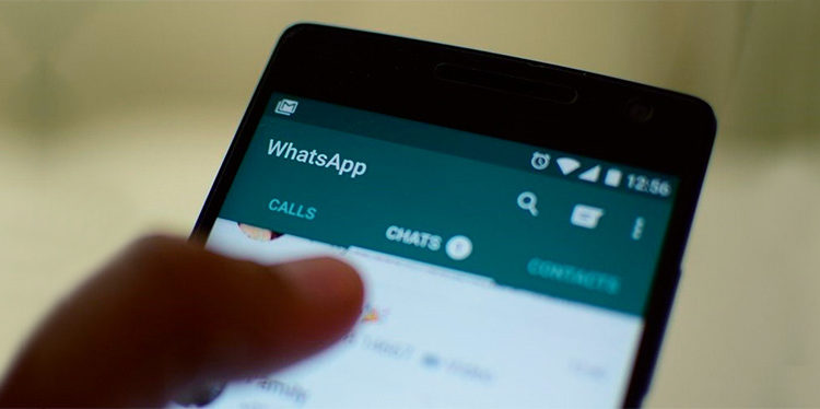 WHATSAPP REMOVE CONTAS DE DISPARO EM MASSA DE NOTÍCIAS FALSAS - News Rondônia