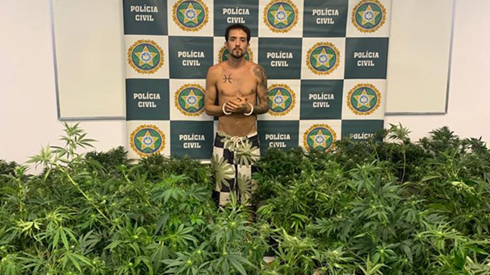 Estudante de direito é preso no RJ com 3 mil pés de maconha - News Rondônia