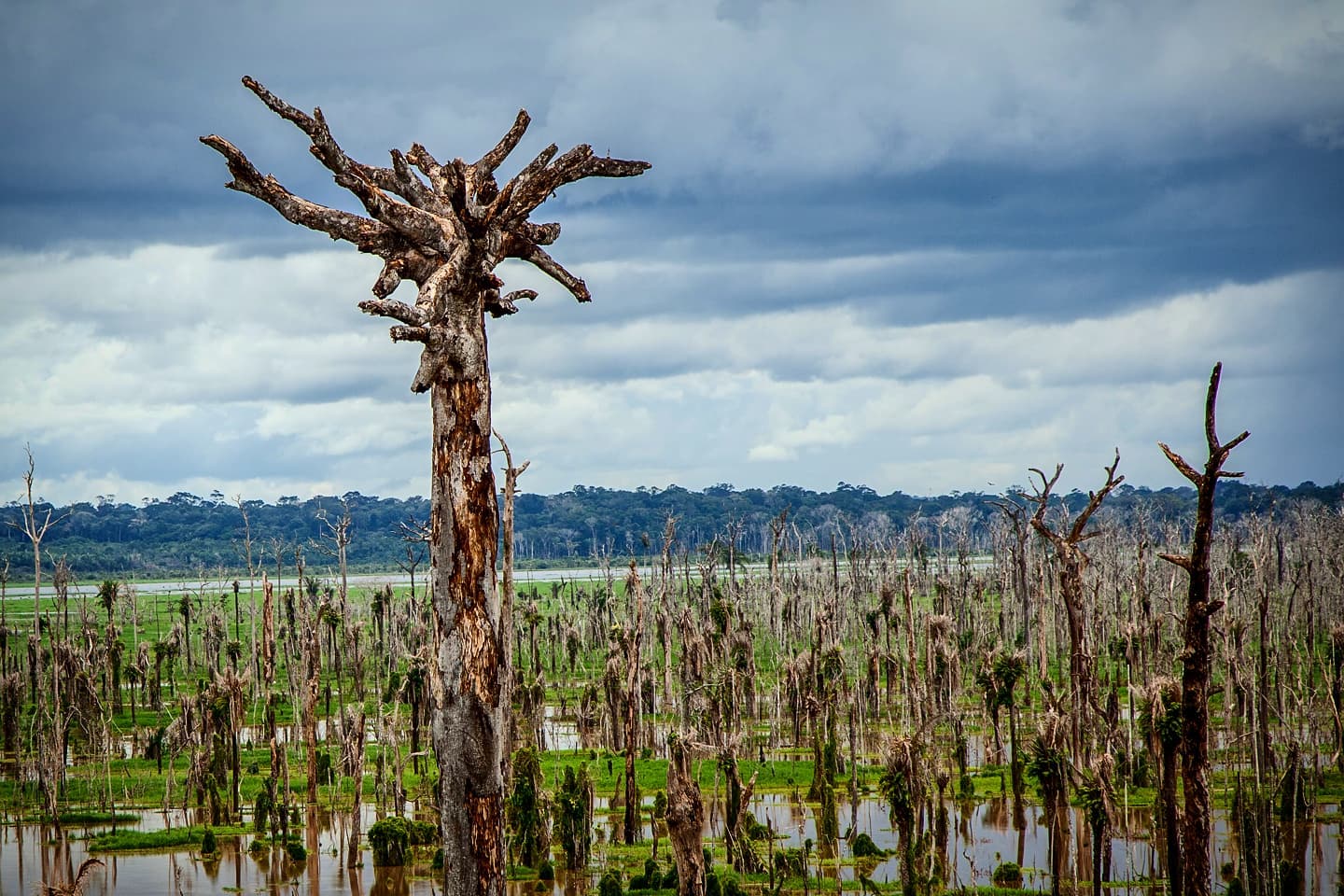 TEMPO NEWS: condições atmosféricas apontam muitas nuvens carregadas sobre Rondônia; chuvas podem cair partir do início da tarde desta quinta - News Rondônia