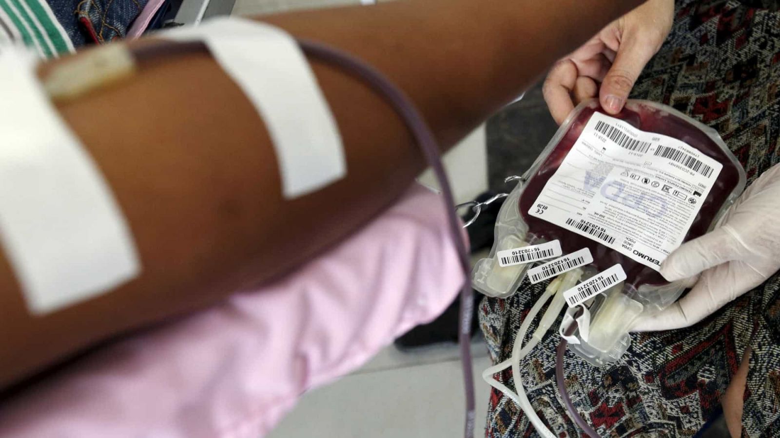 ANVISA CONTRARIA STF E MANTÉM VETO A DOAÇÃO DE SANGUE POR HOMENS GAYS - News Rondônia