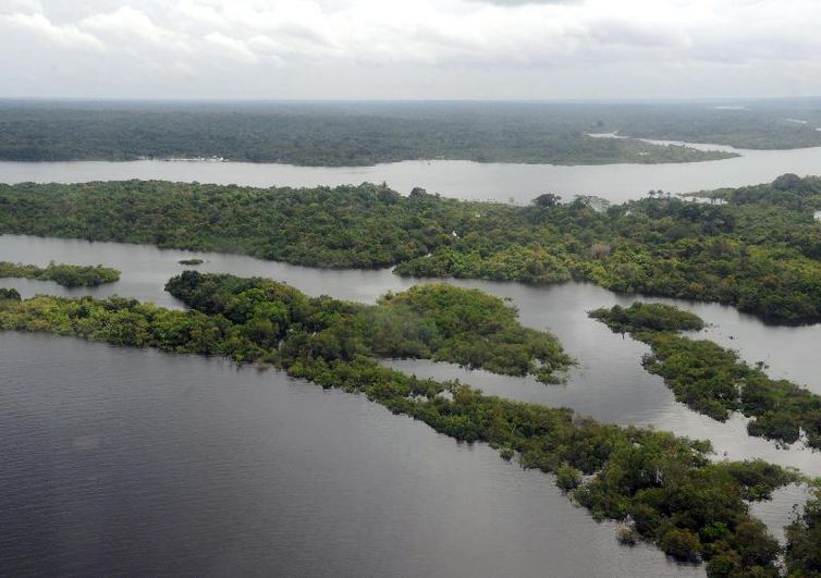 CONHEÇA AS PROPOSTAS DE BOLSONARO E HADDAD PARA O MEIO AMBIENTE - News Rondônia