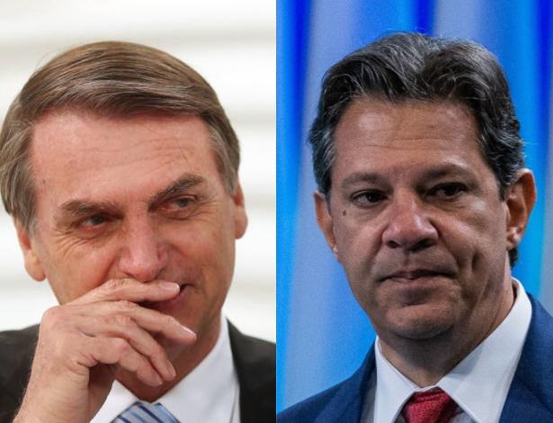CONHEÇA AS PROPOSTAS DE BOLSONARO E HADDAD PARA O MEIO AMBIENTE - News Rondônia