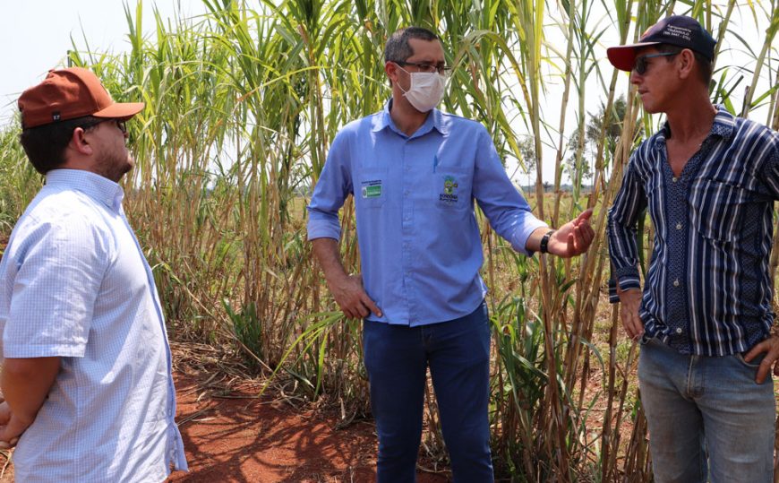 Assistência técnica de servidores da Emater, ajuda produtor de leite a equilibrar custo e receita - News Rondônia
